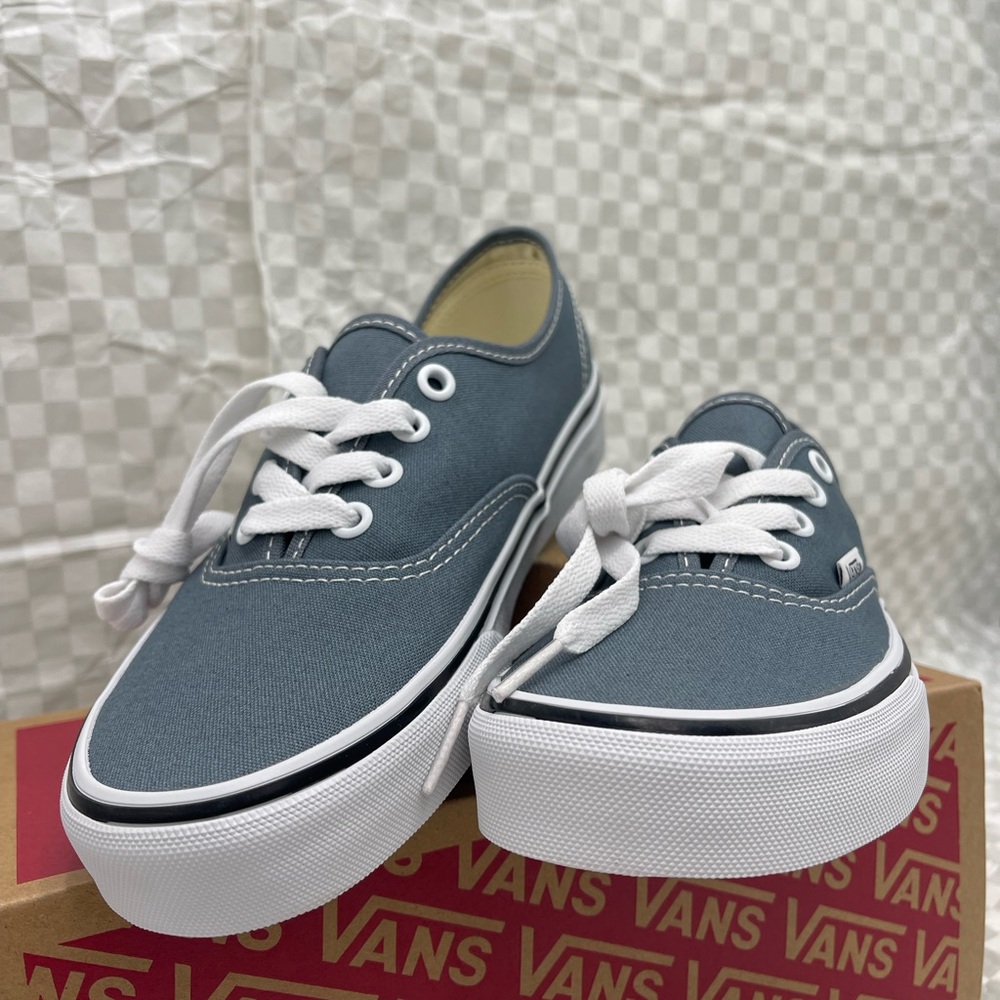 Vans Men’s Authentic
Color Theory Stormy Weather 
VN000EGARV2 Sneakers - Picture 11 of 16